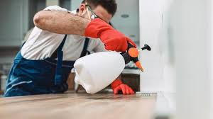 Best Pest Prevention Services  in Greilickville, MI